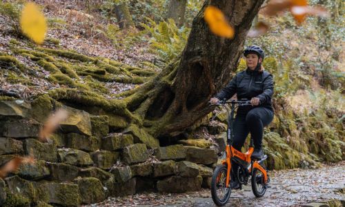 e bike on a wooded trail