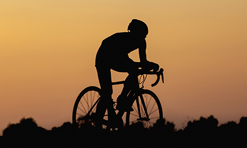 Team PAU-silhouette rider.jpg