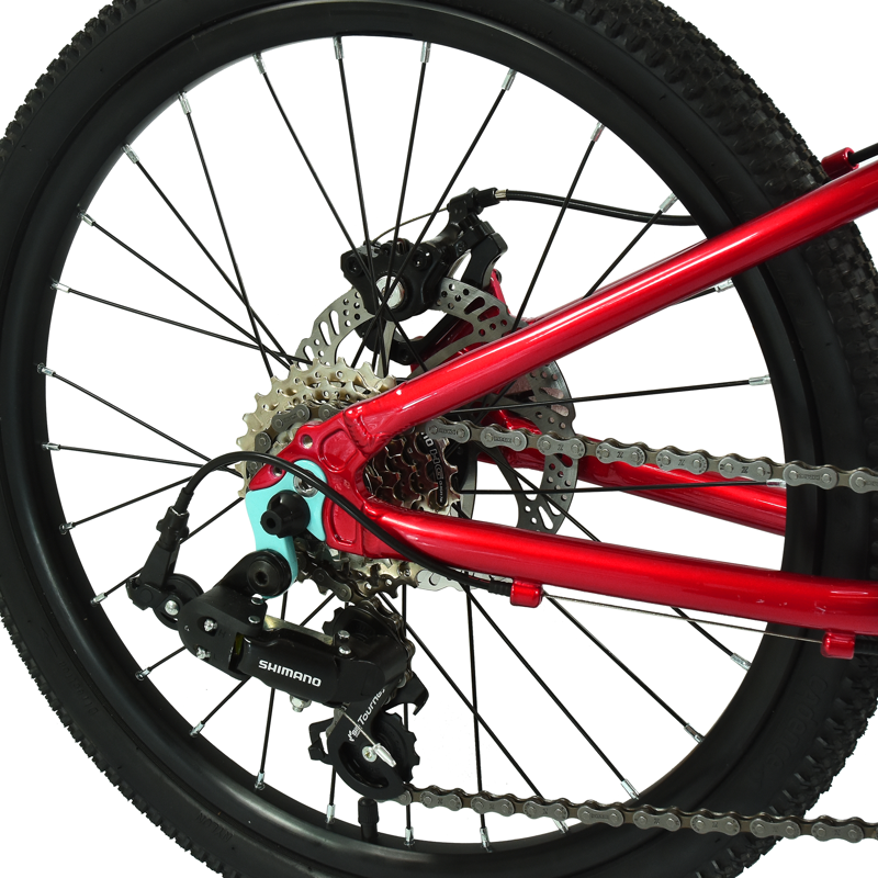 Hoy Pentland 20 Inch Kids Bike in Red-3