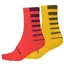 Endura Coolmax Twin Pack Stripe Socks in Pomegranate/Yellow