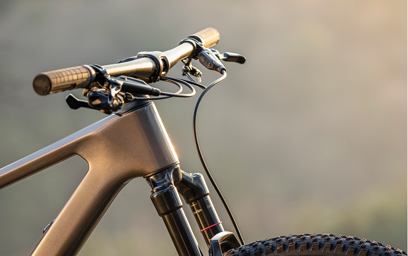 Focus Raven 8.9 Hardtail Mountain Bike MTB in Silver-6