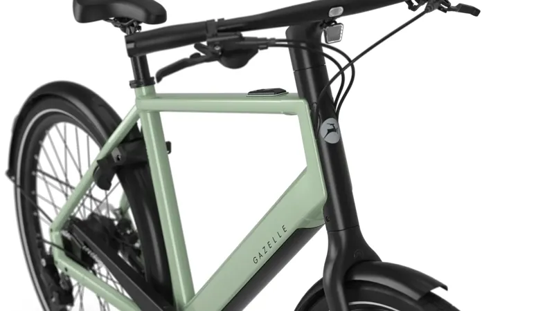 Gazelle Curb T9 HRB High - Step 360 Wh eBike in Pistache Green-5