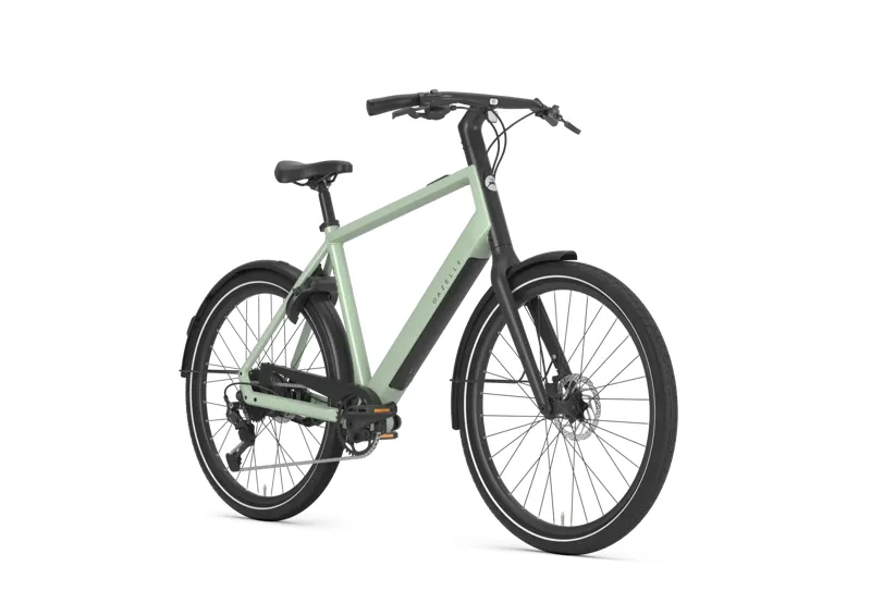 Gazelle Curb T9 HRB High - Step 360 Wh eBike in Pistache Green-1