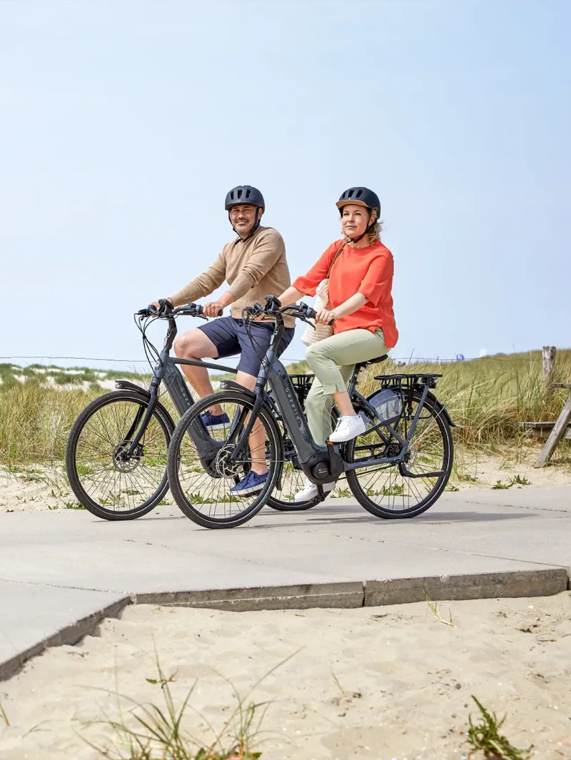 Gazelle Grenoble C7+ HMB  Low Step 500 Wh eBike in Thunder grey-3