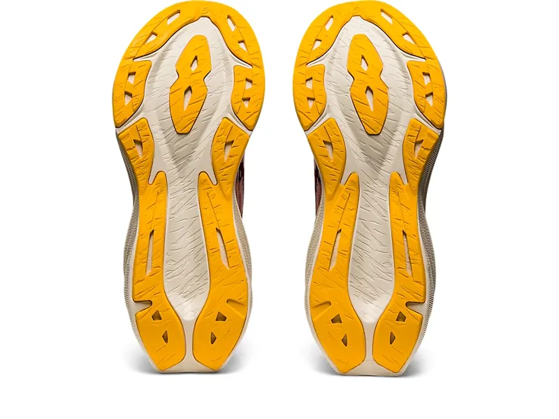 Asics Women's Novablast 3 Running Shoes in Frosted Rose/Deep Mars-1