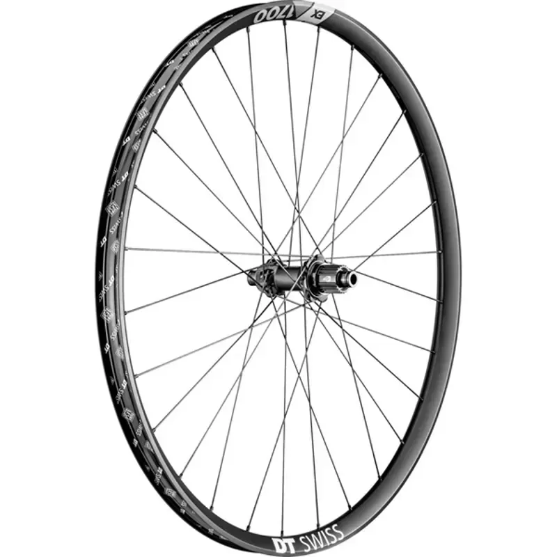 DT Swiss EX1700 29in BOOST MicroSpline Rear Wheel in Black